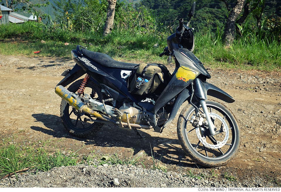 Red Oxx Gator on Motorbike in Philippines